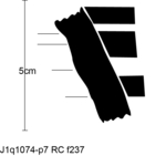 W21d0394 J1q1074-p07 S918 kF cv f237.jpg